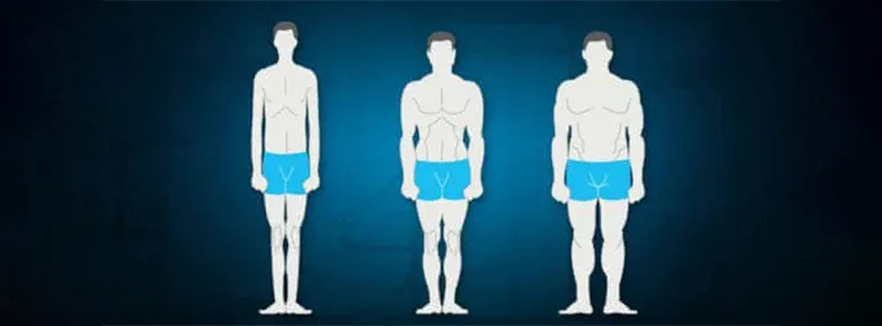 Ayurvedic Body Type Dosha