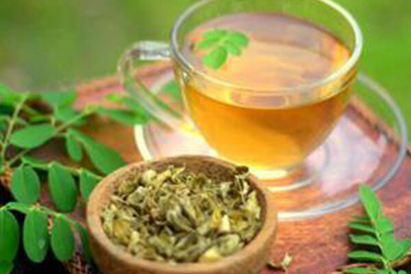 moringa recipes