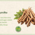 Ashwagandha: Nature’s Answer to Stress Relief