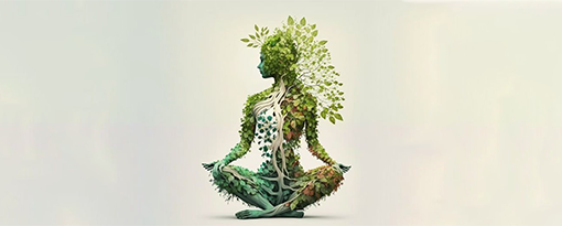 dr rafeena international yoga day 2025